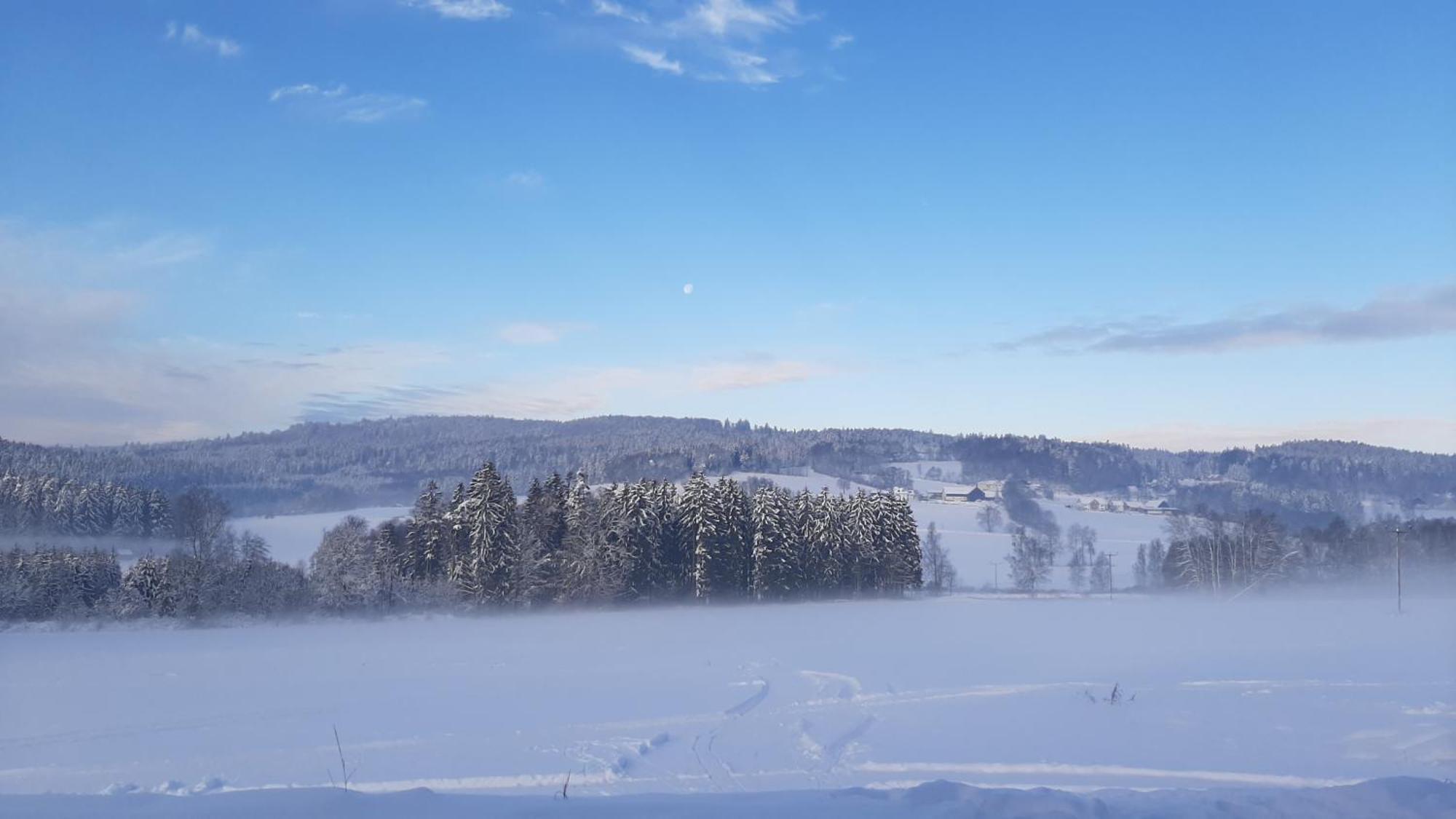 Hotel Zum Bergbauern Waidhaus Exteriér fotografie